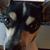 Bonnie Ellis-Turnage's profile image