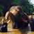Rhiannon Michelle's profile image