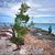 Paulo R. Barbosa's profile image