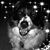 Annelle Lerner's profile image
