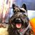 Maggie Anderson's profile image
