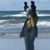 Timothy Whitcomb's profile image