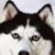 Kathy Blackman's profile image