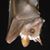 Ree Garbarino's profile image