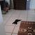 Leann Lovell's profile image