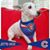 Susan Hogue's profile image