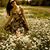 Violetta TU's profile image