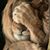 Mary Merritt's profile image