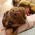 Tracy Walker Allen's profile image
