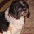 Sherry Musselwhite's profile image