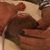 Sylvia Rollins-Jones's profile image