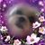 Tammy Blough's profile image
