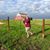 Madeline Giroir's profile image