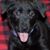 Linda Richardson's profile image