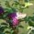 Marcia Stastny's profile image