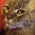 Michelle Stockler's profile image