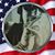 Lainie Jo Brecht-Azeltine's profile image