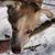 Melinda Newberry Wolfe's profile image