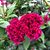 Patty Phillippi Farmer's profile image