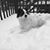Gail Marzolino's profile image