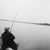 Rod Cargill's profile image