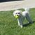 Lorraine Garcilazo Jurado's profile image