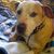 Jody Lima's profile image