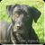 Stephanie SuBe's profile image