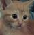 Nancy Lynn's profile image