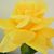 Charles Phillips's profile image