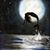 Grace Sanz's profile image