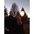 Beth Loane's profile image