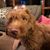 Christine Harrison Schmit's profile image