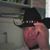 Bill Whatley's profile image