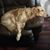 Jane Wilson Flewelling's profile image