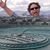 Kurt Flash's profile image