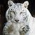 Kelli Hager's profile image