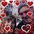 Sandra Eichner Denninger's profile image