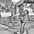 Maureen Wiens Ensminger's profile image