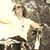 Laura Wood Rust's profile image