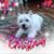 Mary Lou Nickerson's profile image