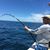 David Walker's profile image