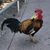 Howard Marvin's profile image