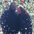 Cat Quigley's profile image