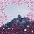 Cassy Bilicki's profile image