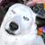 Heidi Truran's profile image