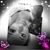 Teena Hamilton Fertitta's profile image