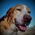 Michele Underwood's profile image