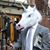 Christi Fox's profile image