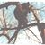 Alice Kidd's profile image